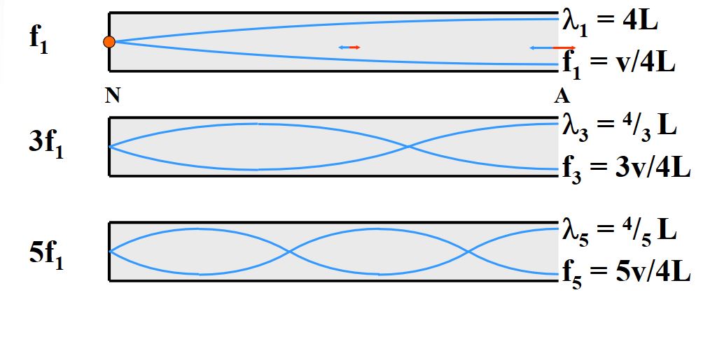 In a closed organ pipe of length 105 centimetres standing waves